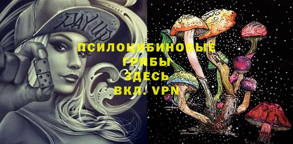 ПСИЛОЦИБИНОВЫЕ ГРИБЫ Арсеньев
