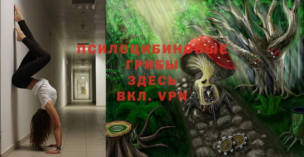 ПСИЛОЦИБИНОВЫЕ ГРИБЫ Арсеньев