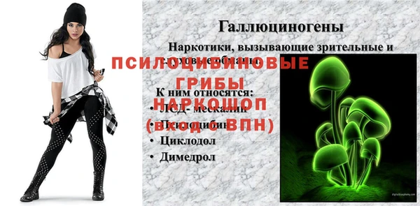 MESCALINE Аркадак