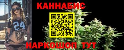 прущие грибы Кандалакша