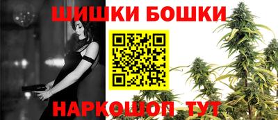 прущие грибы Кандалакша