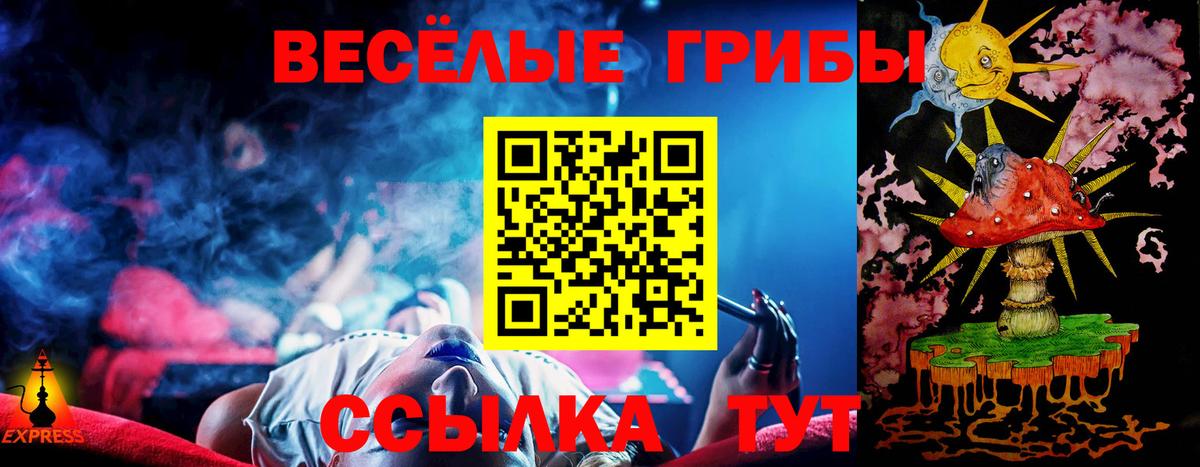 Кызыл  Галлюциногенные грибы Psilocybine cubensis  Вход с VPN 